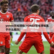 yonex羽毛球拍(YONEX羽毛球拍属于什么档次)