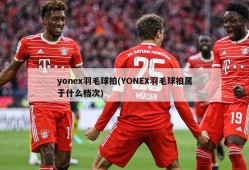 yonex羽毛球拍(YONEX羽毛球拍属于什么档次)