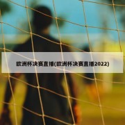 欧洲杯决赛直播(欧洲杯决赛直播2022)