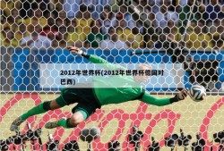 2012年世界杯(2012年世界杯德国对巴西)