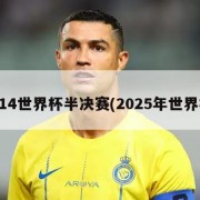 2014世界杯半决赛(2025年世界杯)