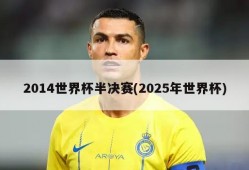 2014世界杯半决赛(2025年世界杯)