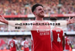 nba总决赛小牛vs热火(热火小牛总决赛阵容)