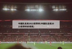 中国队无缘2022世界杯(中国队无缘2022世界杯的球员)